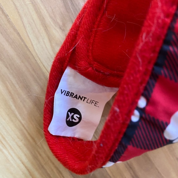 Treat your little fur ball size XS - Picture 16 of 16